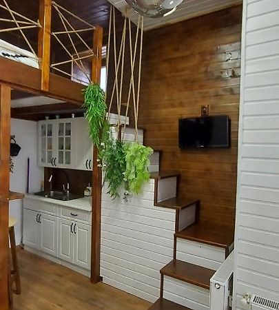 Garden Apartment Satu Mare Exterior photo
