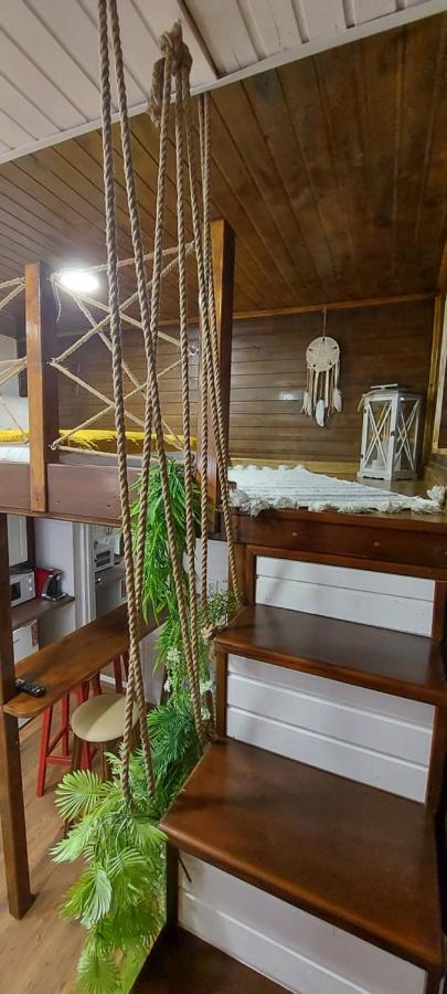 Garden Apartment Satu Mare Exterior photo