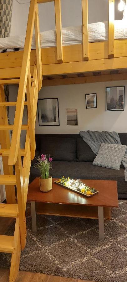 Garden Apartment Satu Mare Exterior photo