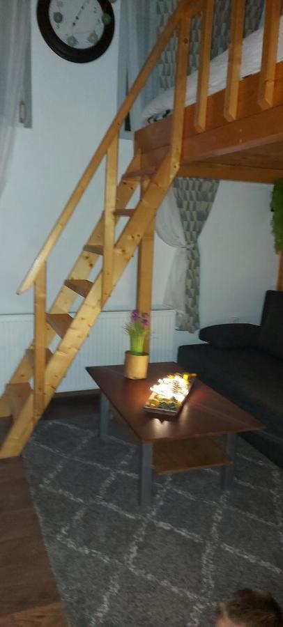 Garden Apartment Satu Mare Exterior photo