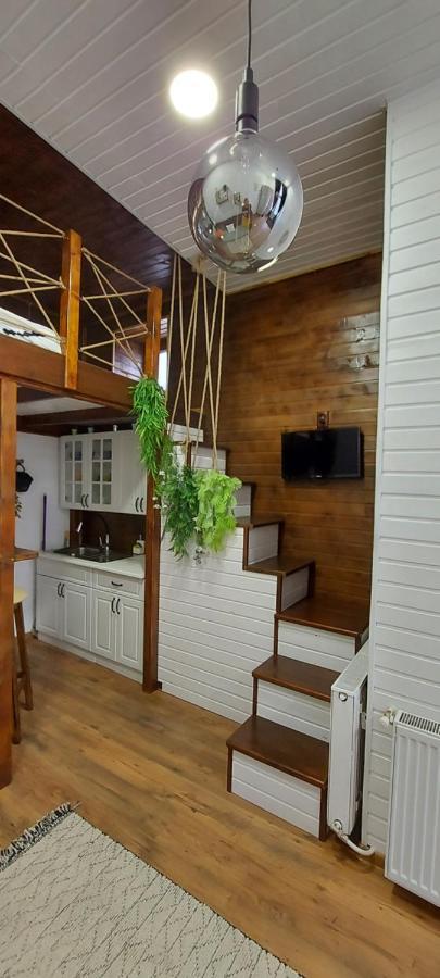Garden Apartment Satu Mare Exterior photo