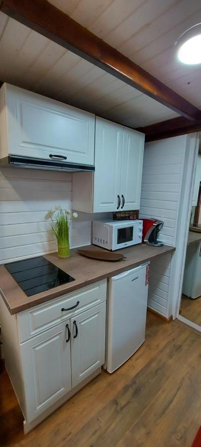 Garden Apartment Satu Mare Exterior photo