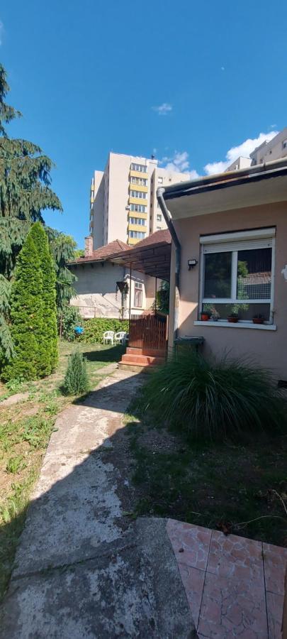 Garden Apartment Satu Mare Exterior photo