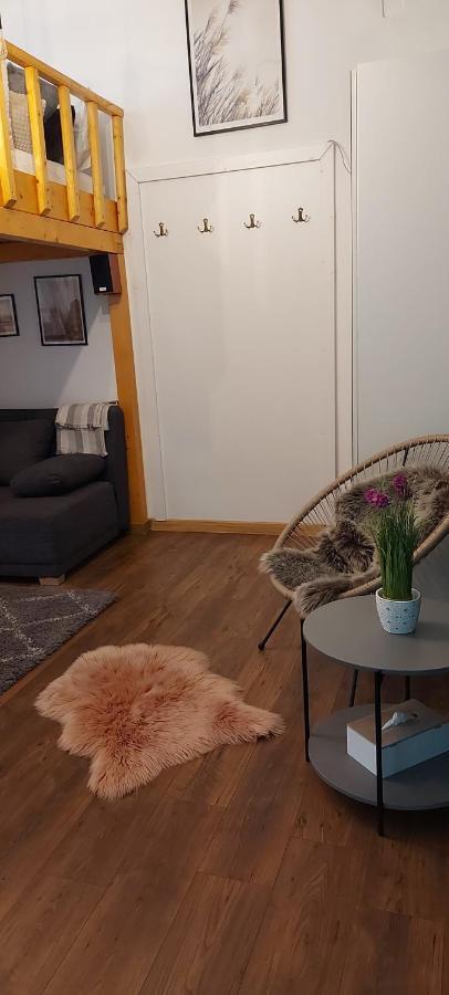 Garden Apartment Satu Mare Exterior photo