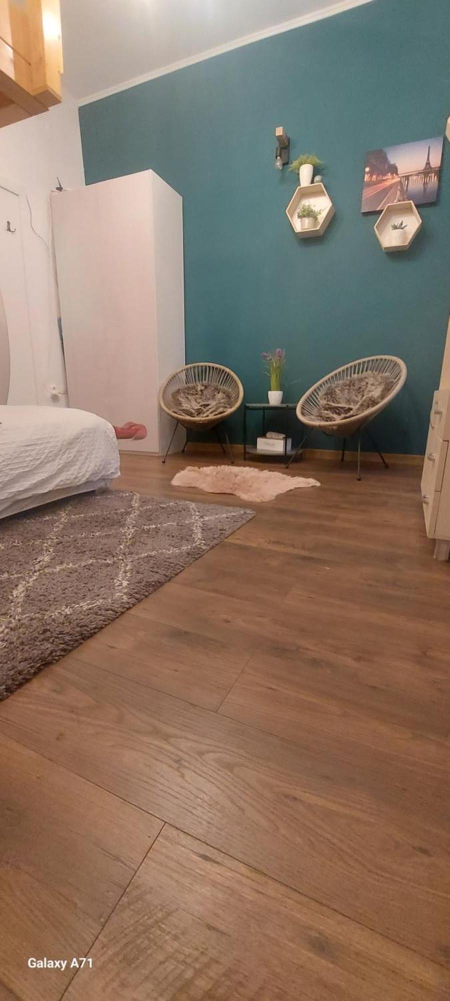 Garden Apartment Satu Mare Exterior photo